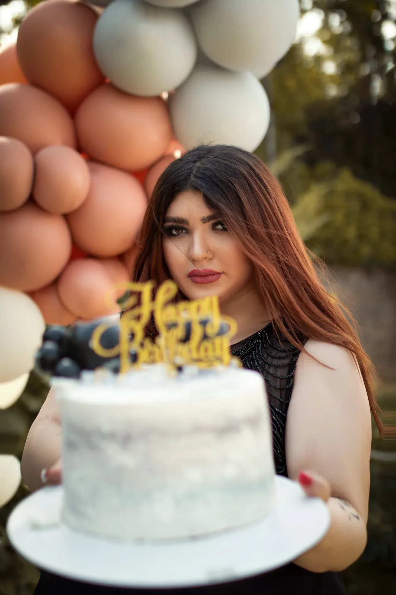 Birthday Album - mehrab zahedbeigi